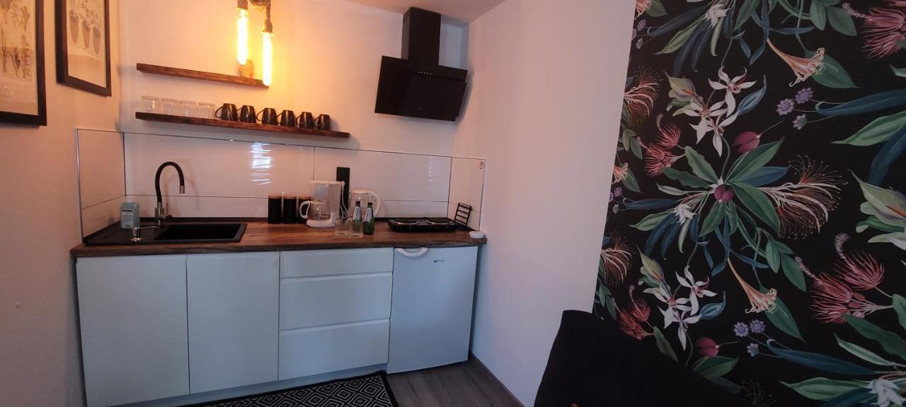 Apartamenty Pod Uwalonym Debem Jezow Sudecki Екстериор снимка
